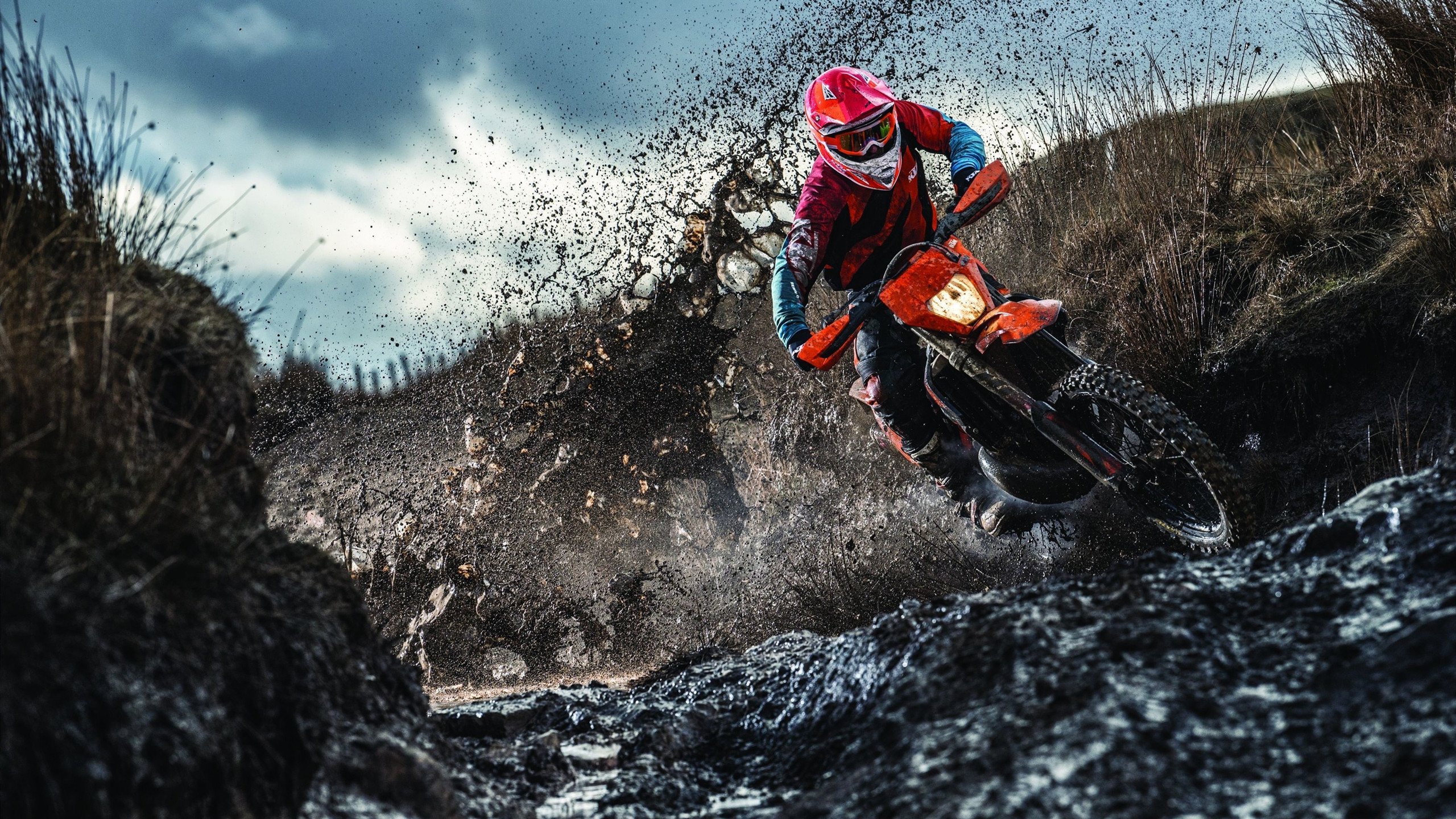 开云官网-拜仁边锋速度制胜,多次突破,拜仁边路 第1张 开云官网-拜仁边锋速度制胜,多次突破,拜仁边路 第1张